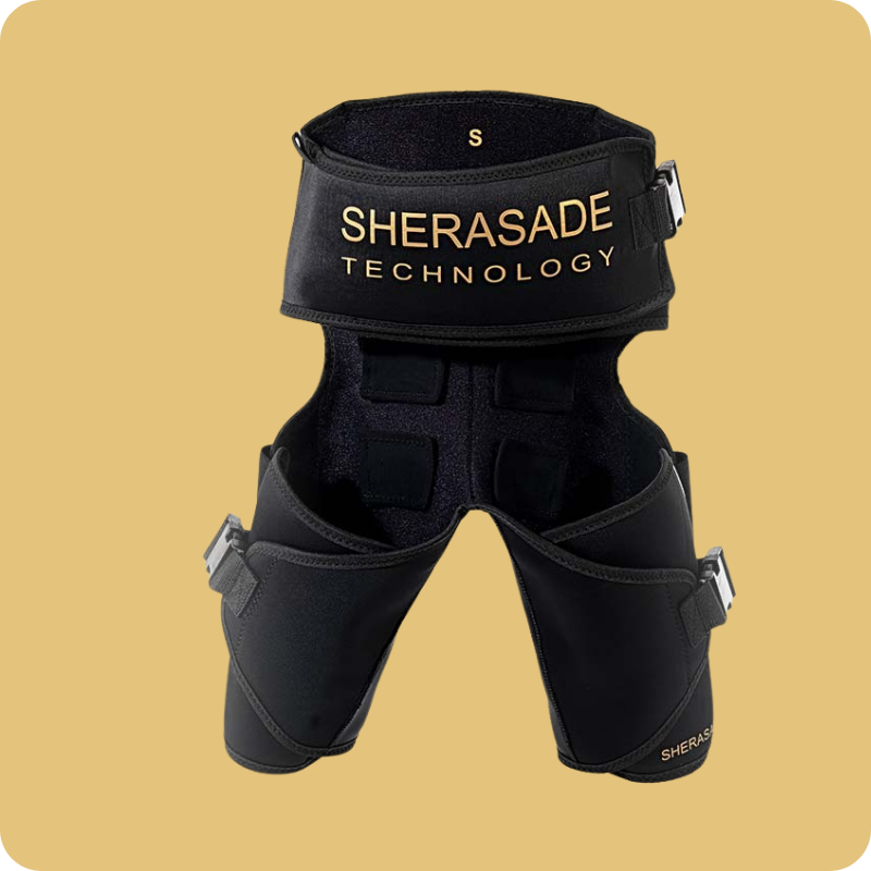 Sherasade EMS